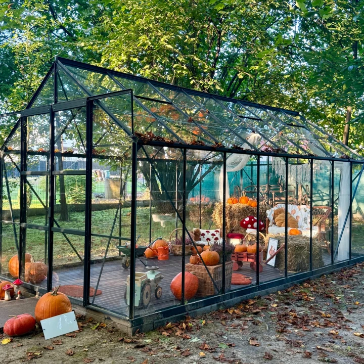 szklarnia fotograficzna do zdjęć Laurus 12.9.JPG